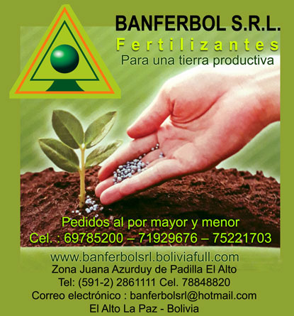 banferbol